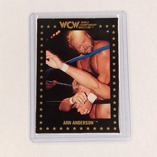 1991 Championship Marketing WCW - Arn Anderson #2 (RC)