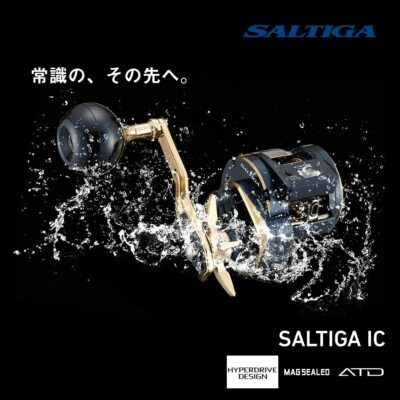 Daiwa 21 SALTIGA IC 300HL-SJ Left 7.3 Baitcast Reel From Japan New