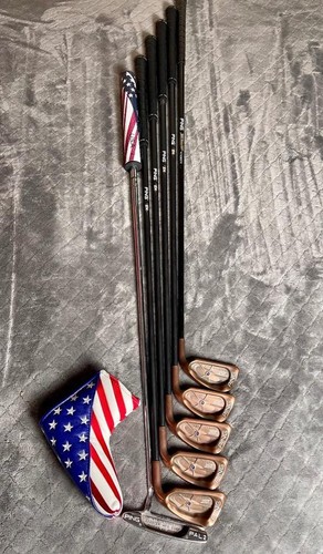 RH PING ISI # Matching Beryllium Copper Senior Flex Iron Set & PING Pal 2 Putter - Picture 2 of 13