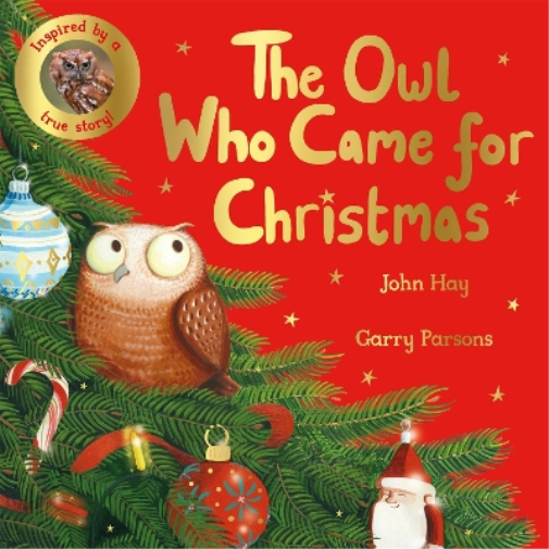 John Hay The Owl Who Came for Christmas (Tascabile)