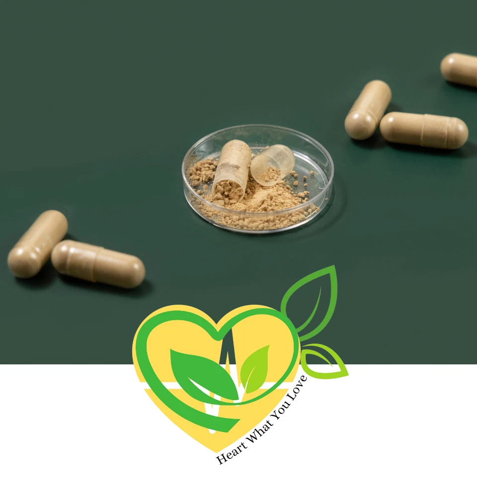 Cápsulas de equinácea 500mg | 60 CT | Suplemento herbal vegano orgânico | Ajuda imunológica - Imagem 4 de 4