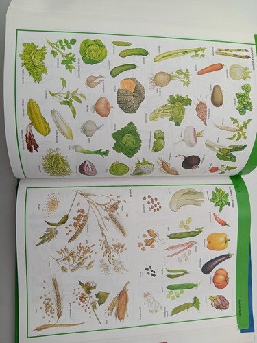 Italienisch Wörterbuch Garzanti Jahr 2005 aktualisierte Ausgabe - Bild 8 von 10