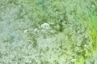 Foto 2 di 8