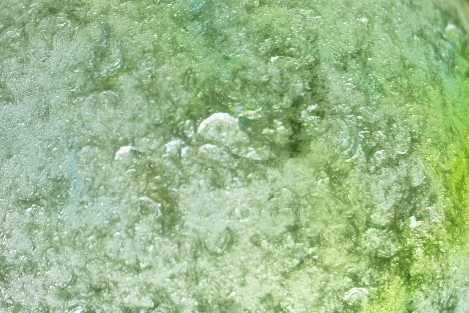 Foto 2 di 8