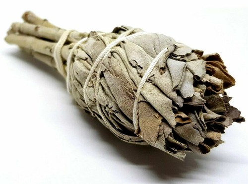 Californian White Sage Smudge Stick Bulb X 2 Shaman Sage Cleansing Spiritual - Picture 12 of 12