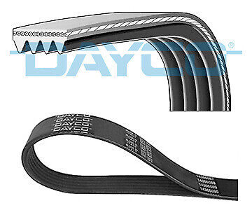 4PK874EE DAYCO V-Ribbed Belt for FIAT - Afbeelding 1 van 1