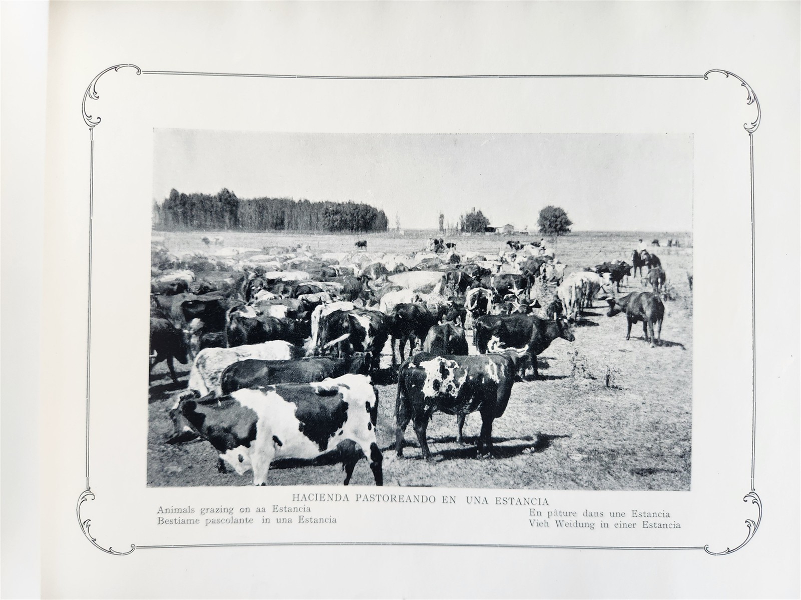 1900 ALBUM-RECUERDO de BUENOS AIRES antique PHOTO ILLUSTRATED FOLIO ALBUM