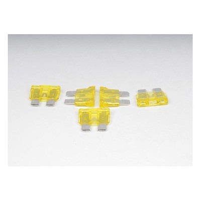Acdelco 12004009 Fuse 20 Amps (B)