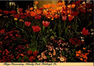 Phipps Conservatory Spring Flower Show Postcard