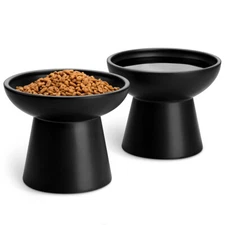 Raised Cat Food Bowl 2-Pack Ceramic Elevated Cat Bowls Cat Food & Water Dishes