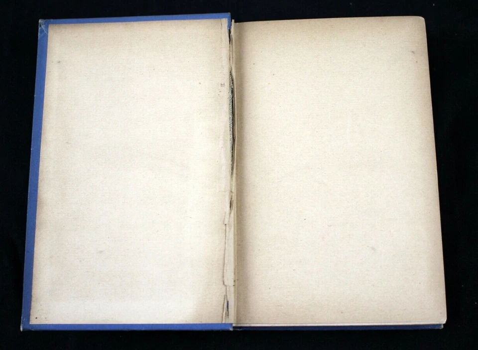 WOODCRAFT Revolutionary War Border Romances By W.G. Simms 1880s Foto 3 de 4