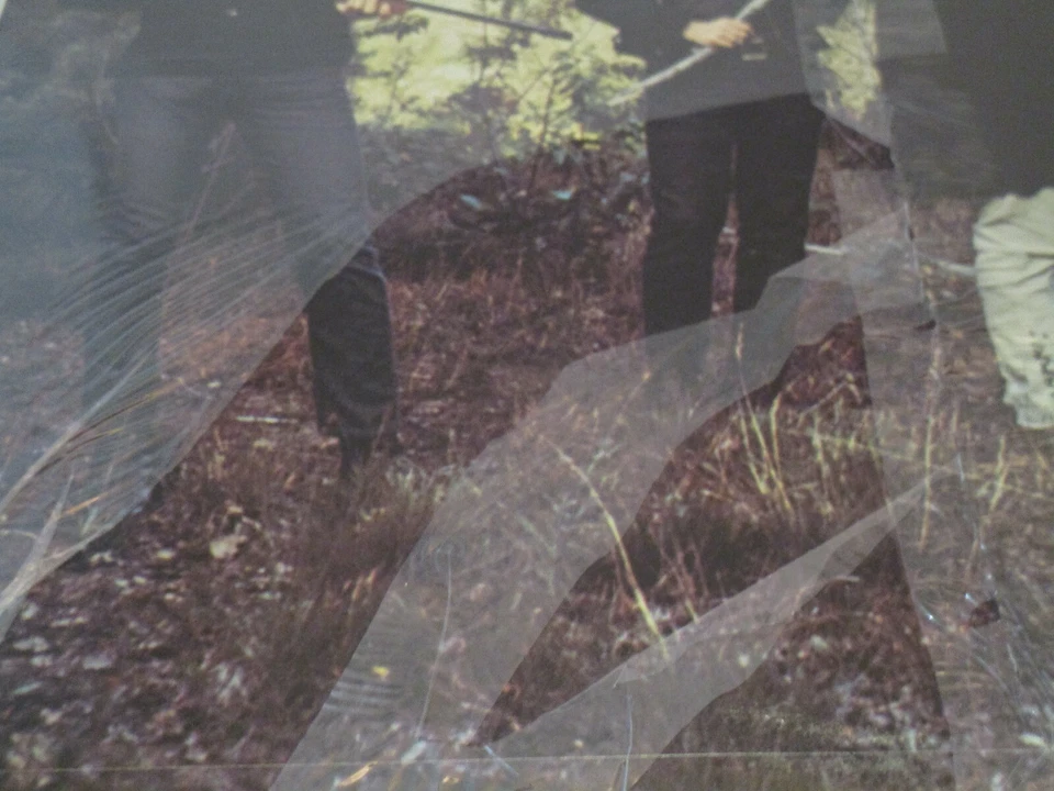 The Byrds Preflyte Sealed Vinyl Record LP Album USA 1969 ST-T-1001 Unipak Hype S - Image 3 of 4