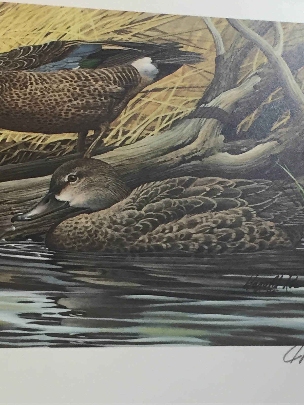 Harold Roe,1987, Ohio Duck Print,Ducks,1534/2000 ,No Stamp ,Mint.,35 ...