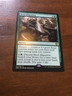 Herd Migration magic the gathering card MTG