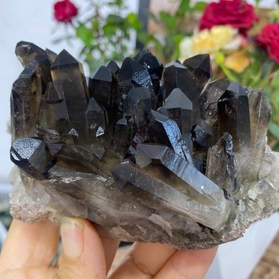 1.35LB Natural Black Smoky Quartz Crystal Cluster Raw Mineral Specimen