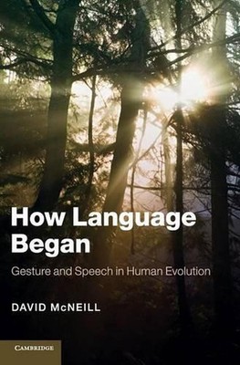 How Language Began: Gesture and Speech in Human Evolution by David McNeill (Engl