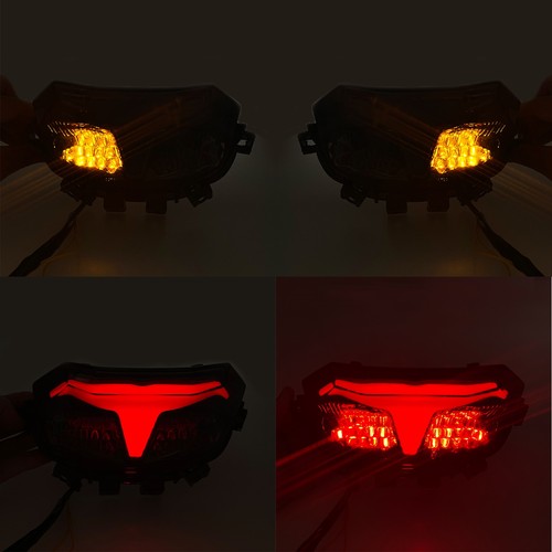 HEINMO Integrated LED Tail Light For Kawasaki Z125 Pro 2017-2025 & Ninja ZX6R