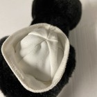 Bild 7 von 10