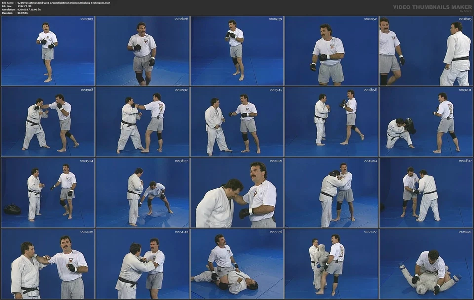 The Predator NHB/MMA Fighting System starring Don Frye (15 DVD Set) - Image 3 of 4