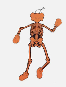 Kaws Skeleton | eBay