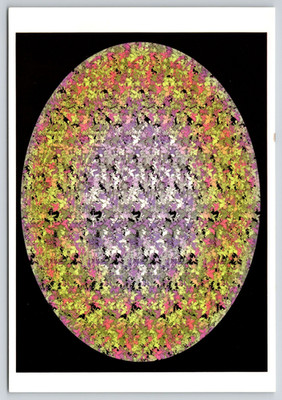 ''Virgin of Guadalupe'' Virgin Mary Magic Eye 3D Optical Illusion Postcard UNP 4x6