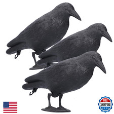 Realistic Crow Decoys, Life-Sized Simulation Hunting Bait, Black Garden Decor