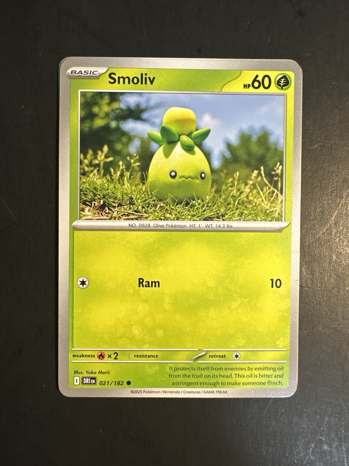 2025 Pokemon S&V Destined Rivals Smoliv 21 /182 Base Card Common YUKA MORII