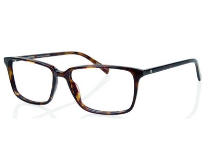 ECO Cali Tortoise Green Gradient Unisex Eyeglasses Frames 55-15-140 mm RX Ready