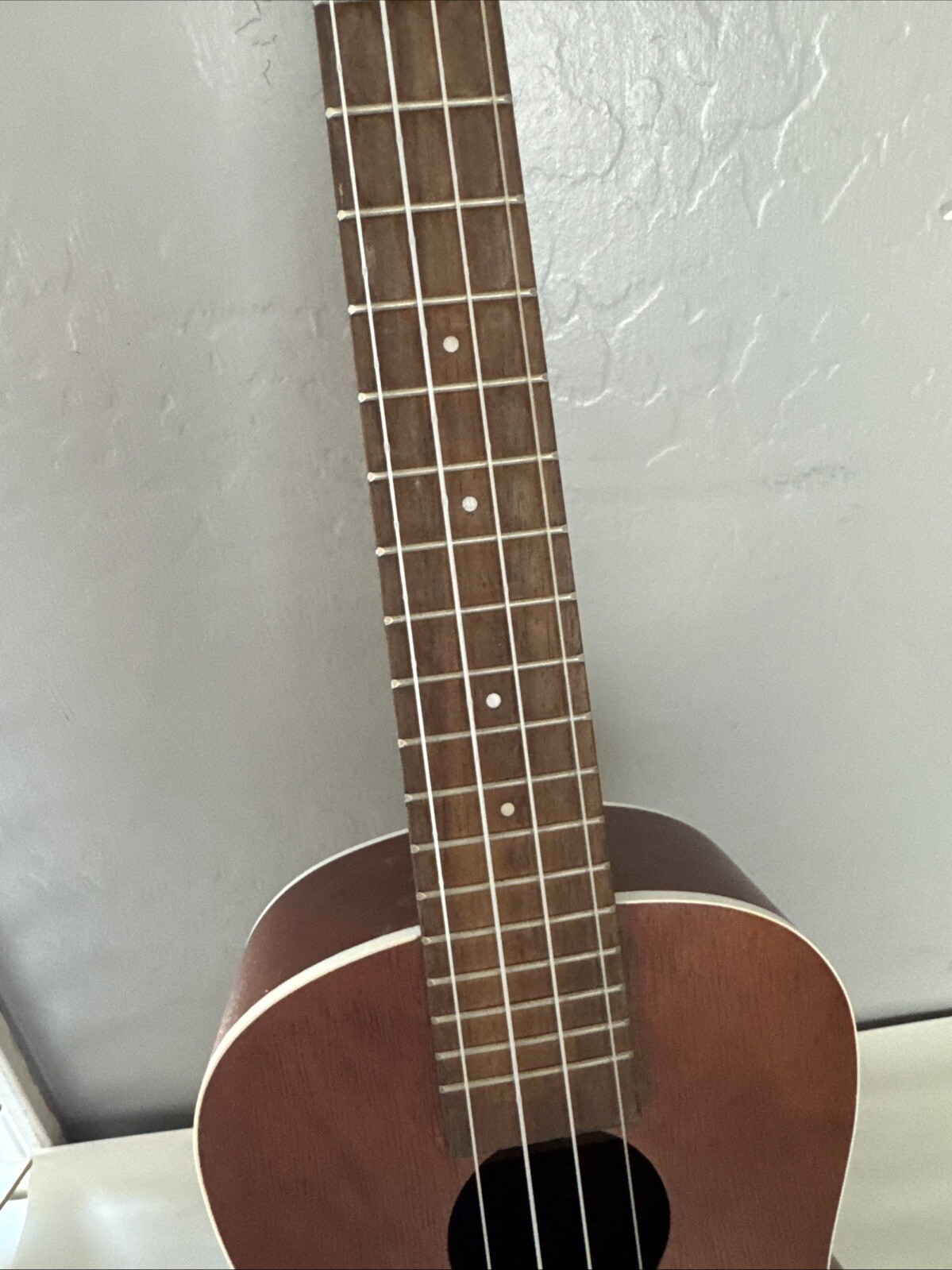 Picture 4 of 13
