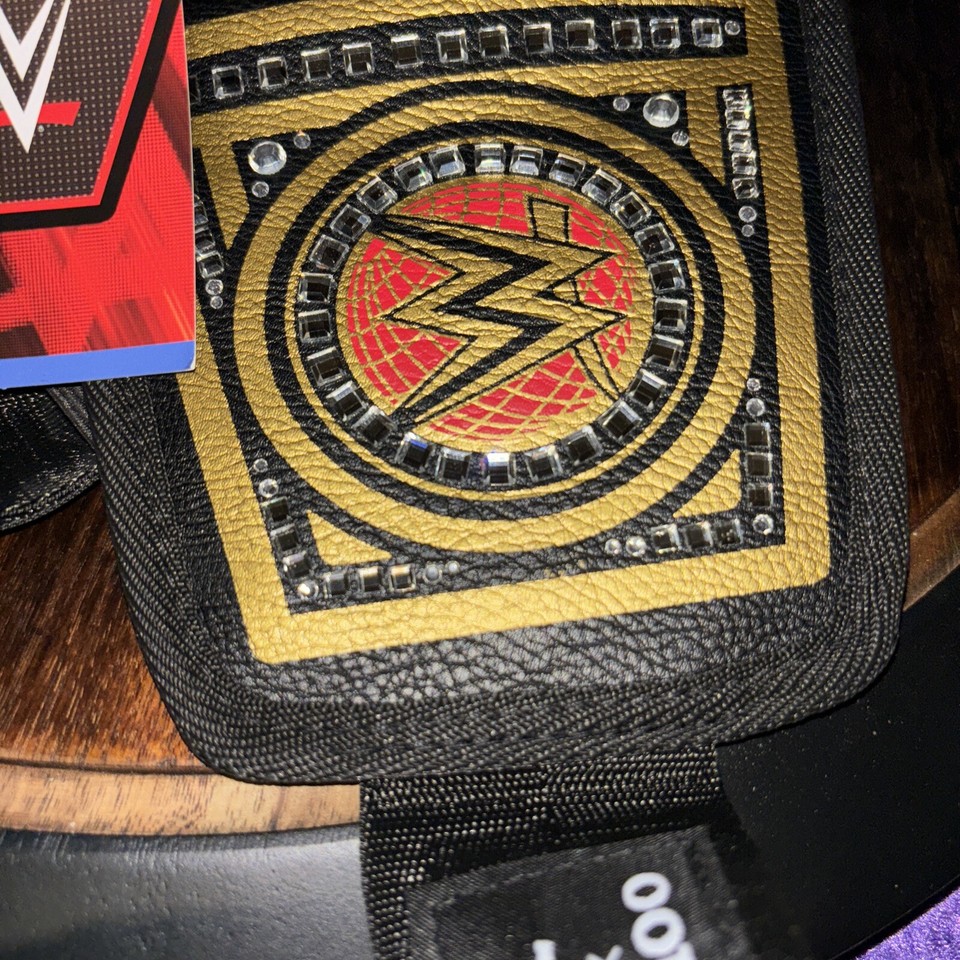 WWE X Igloo WWE Championship Belt Fanny Pack Lunch Limited Edition