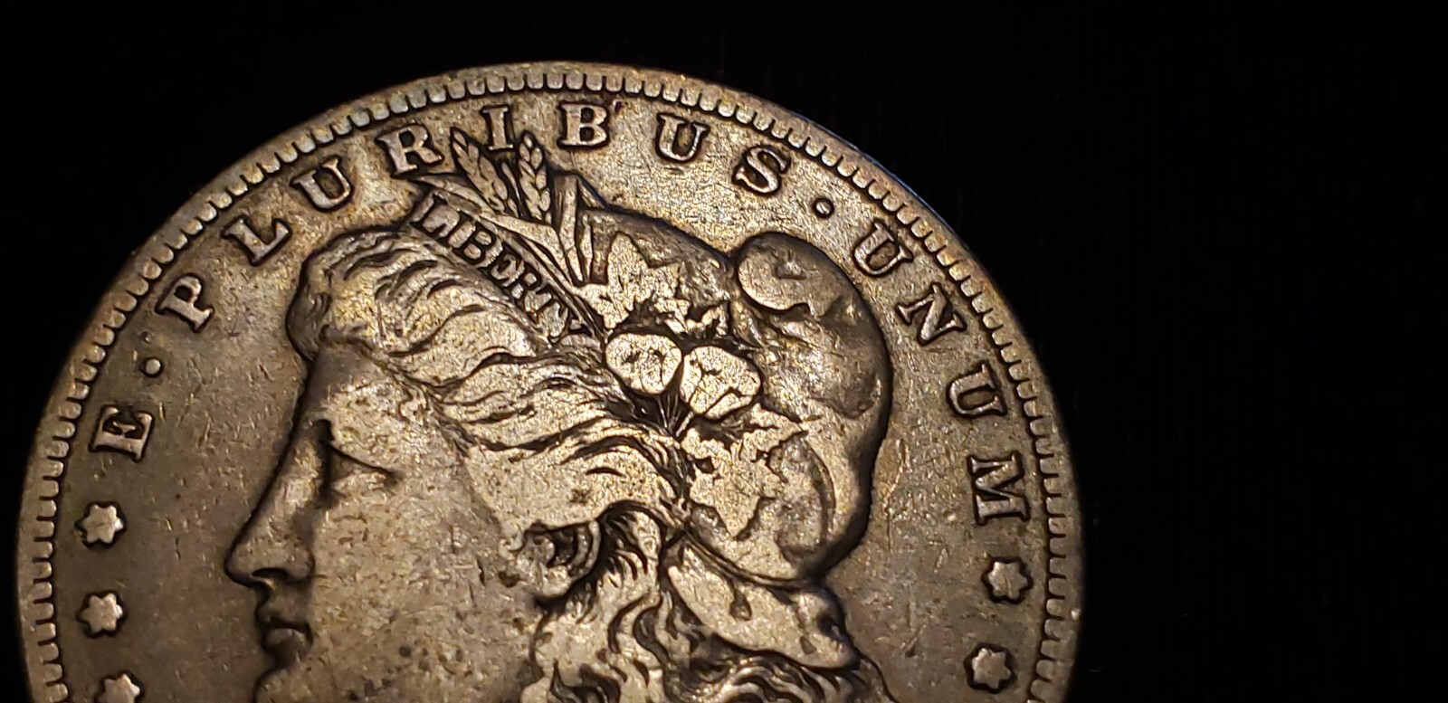 Picture 6 of 13