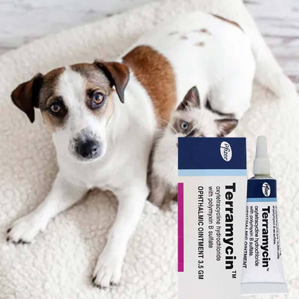 Pet Eye Ointment Pet Cat Dog Eye Ointment Corneal Inflammation Eye