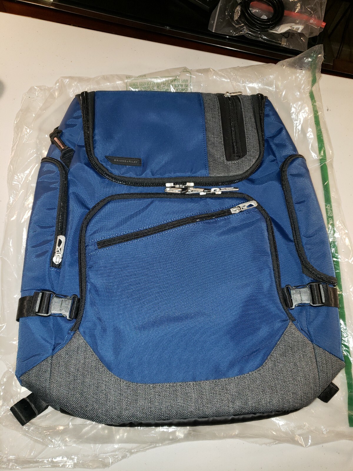 briggs and riley excursion backpack