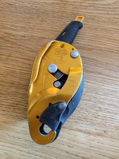 Petzl0 I'd S Descender Solid One Size Multicoloured