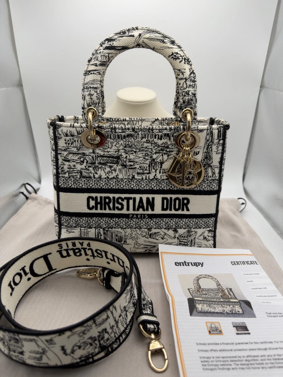 25+ Dior Lady D-Lite Bags for sale | Updated Oct 2026