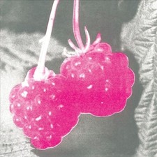 Welcome by BLUMM,F.S. [VINYL]