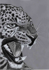 Original pencil Portrait art picture gift Roaring powerful Leopard Black white