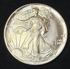 1987 American Silver Eagle 1 Oz .999 Fine Coin, No Reserve #840