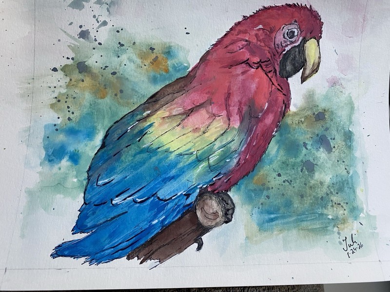 Original Watercolor Painting Hand Painted 8x10 Bird Parrot Art OOAK Signed