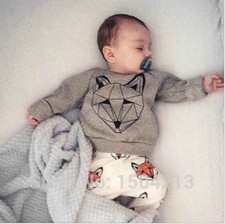 2PCS Toddler baby Boys Cotton Tops  pants outfits  Sets kid Boys Clothing Wolf