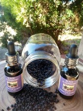 Elderberry Sambucus Nigra Tincture/Extract Organic Immune Boost No Alcohol 1 oz.