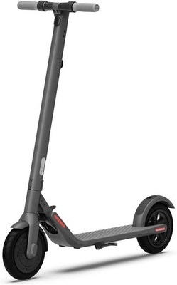Segway Ninebot E22 300W Electric Kick Scooter - Dark Gray | eBay
