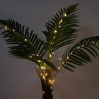Picture 7 of 21