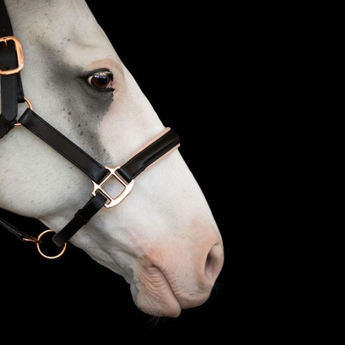 'Hollywood' leather halter - Picture 6 of 12