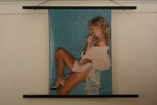 Farrah Fawcett 1979 14-684 Pro Arts Iconic Playboy Cover Style Poster  20x28