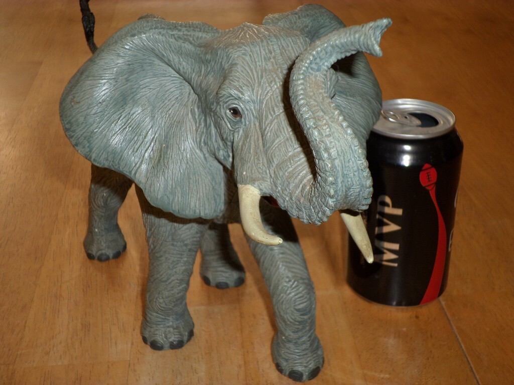 Picture 6 of 6