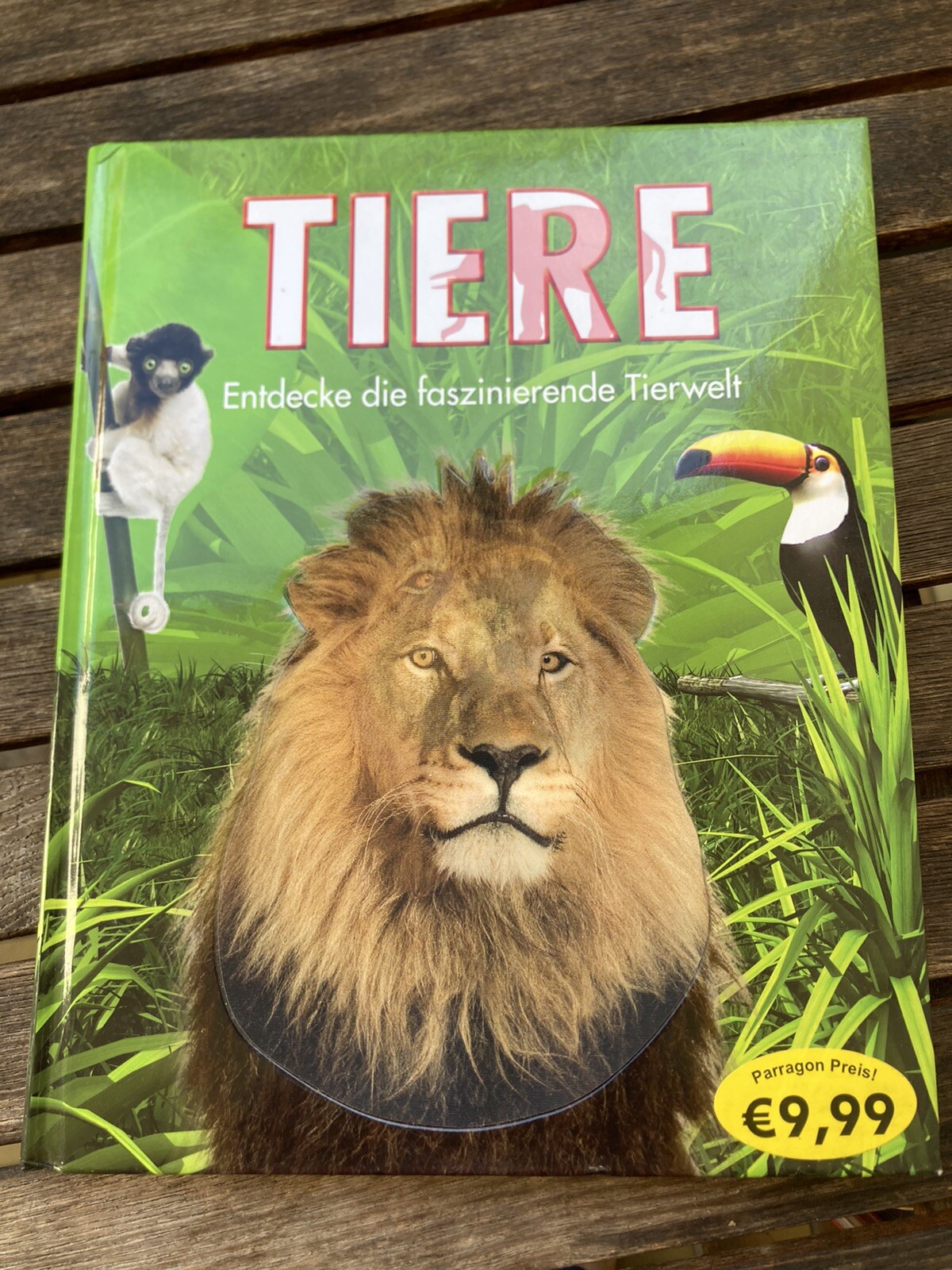 Buch Tiere Entdecke die faszinierende Tierwelt - Martin Walters & jinny Johnson