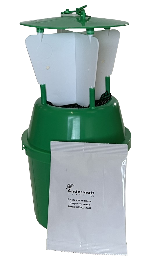 Raspberry Beetle Trap - Andermatt Home & Garden