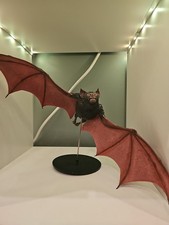 McFarlane DC Multiverse Batman Forever Batman Nightmare Bat BAF Complete