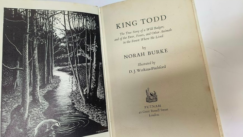 2 Vintage The Badger Books (FIRST EDITIONS) King Todd & New Naturalist - Picture 8 of 10